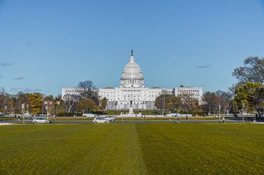 Image of the Capitol Building
